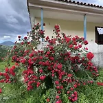 Vila Redi