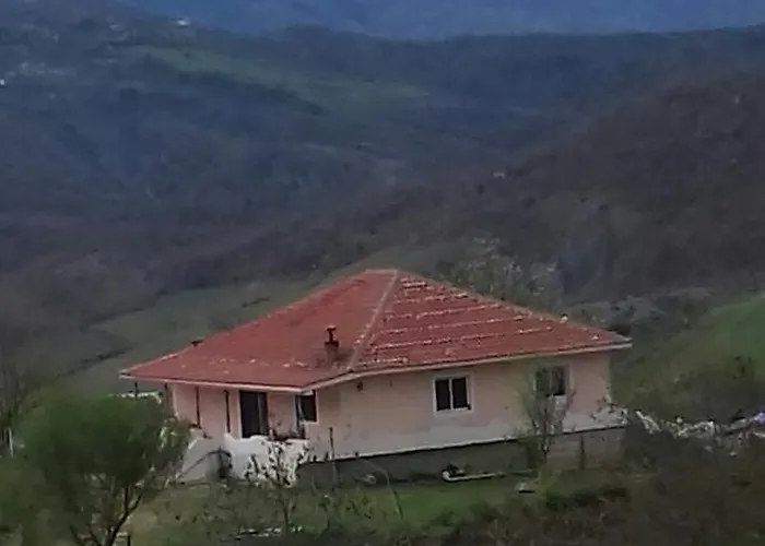 Vila Redi
